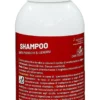 Aftir Duo Shampoo Antipidocchi E Lendini 100ml