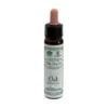 Ainsworths Oak Integratore Di Fiori Di Bach 10ml