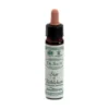 Ainsworths Star Of Bethlehem Fiori Di Bach 10ml