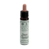 Ainsworths Sweet Chestnut Integratore Di Fiori Di Bach 10ml