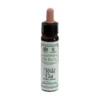 Ainsworths Wild Oat Integratore Di Fiori Di Bach 10ml