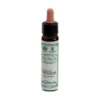 Ainsworths Willow Fiori Di Bach Beneficio Rilevante Flacone 10ml