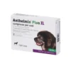 Anthelmin Plus Xl Vermi Intestinali 2 Compresse