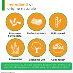 Armolipid Plus Integratore Con Berberis Aristata Riso Rosso Fermentato Acido Folico 70 Compresse
