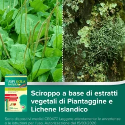 Aspi Gola Natura Junior Sciroppo Mal Di Gola E Tosse Per Bambini Vaniglia Fragola 16 Buste