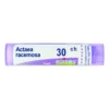 Boiron Actaea Racemosa 200ch Medicinale Omeopatico 80 Granuli