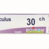 Boiron Aesculus Hippocastanum 30ch Granuli