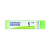 Boiron Colchicum Autumnale 5ch Omeopatico 80 Granuli 4g
