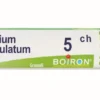Boiron Conium Maculatum 5ch Granuli