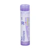Boiron Nux Moschata 30ch Rimedio Omeopatico 80 Granuli