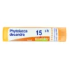 Boiron Phytolacca Decandra 15 Ch Granuli Multidose 80 Granuli 4g
