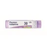 Boiron Poumon Histamine 30ch Granuli 4g