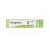 Boiron Pyrogenium 5ch Granuli 4g