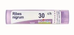 Boiron Ribes Nigrum 30ch Granuli