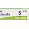 Boiron Thuya Occidentalis 5ch Granuli