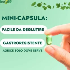 Buscoibs Sindrome Intestino Irritabile 0,2ml 48 Capsule Gastroresistenti
