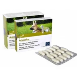 Care Artosalus Mangime Complementare Articolazioni Per Cani E Gatti 60 Compresse