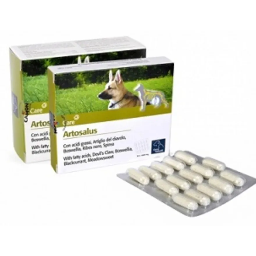 Care Artosalus Mangime Complementare Articolazioni Per Cani E Gatti 60 Compresse