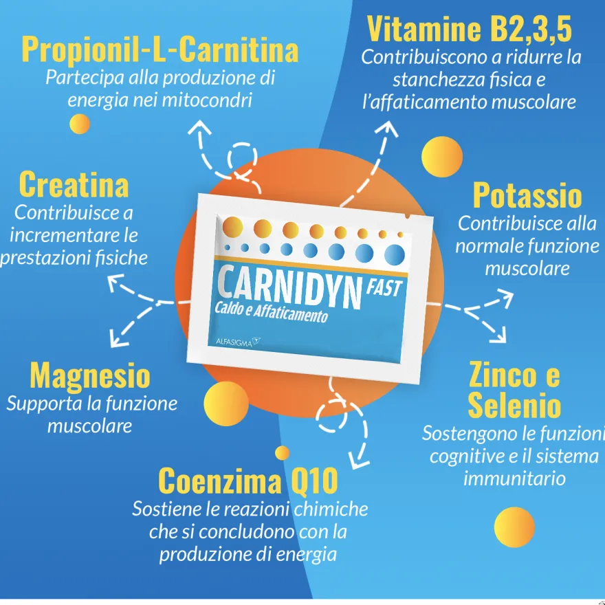 Carnidyn Fast Integratore Caldo E Affaticamento 12 Bustine
