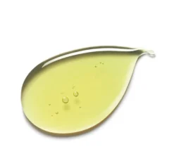 Caudalie Vinosculpt Concentrato Snellente 75ml