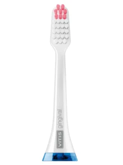 Dentaid Vitis Sonic Gingival S10 E S20 Ricambio 2 Testine