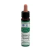 Dr. Bach Recovery Remedy Ainsworths Gocce 10ml