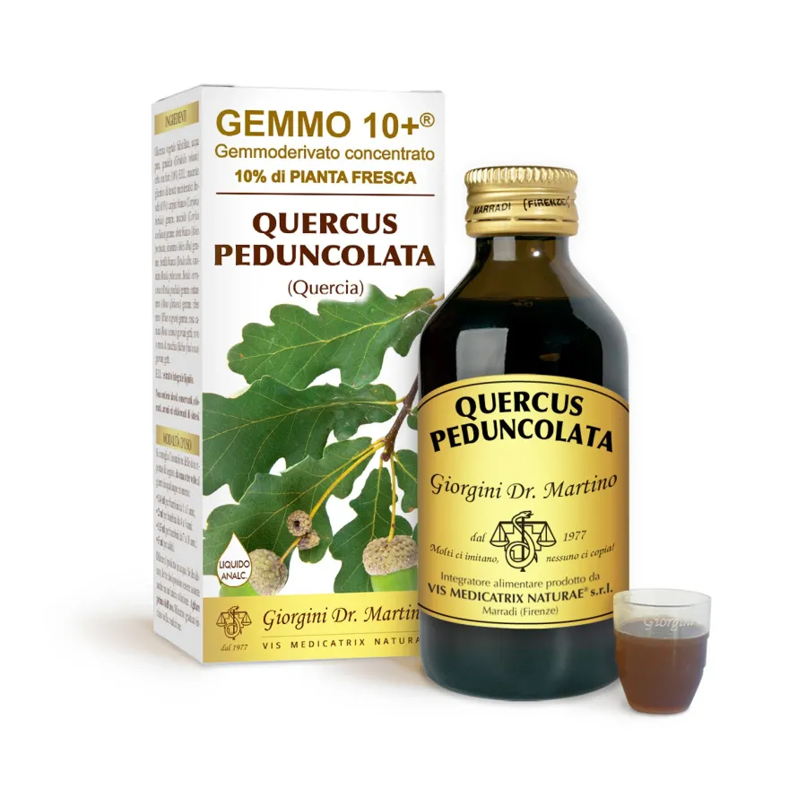 Dr. Giorgini Gemmo 10+ Gemmoderivato Concentrato Quercus Peduncolata Integratore Tonificante 100ml