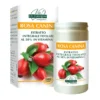 Dr. Giorgini Rosa Canina Integratore Ricostituente 100g