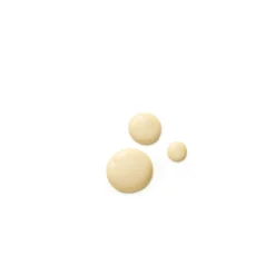 Dr. Hauschka Fluido Attivante Per Il Giorno 50ml