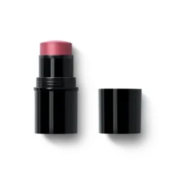 Dr Hauschka Liptocheek Blush In Stick 03 6,1g
