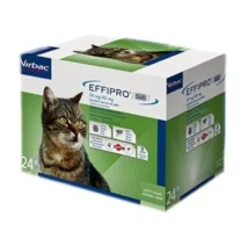 Effipro Spot On 50mg 0,5ml 24 Pipette Gatti Da 1 A 6kg