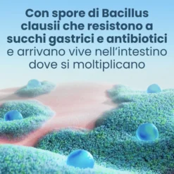 Enterogermina 2 Miliardi Fermenti Lattici Probiotici Per Disturbi Intestinali 20 Fiale