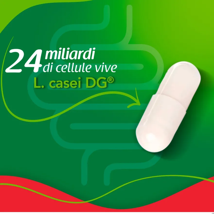 Enterolactis Plus Integratore Fermenti Lattici Vivi 15 Capsule