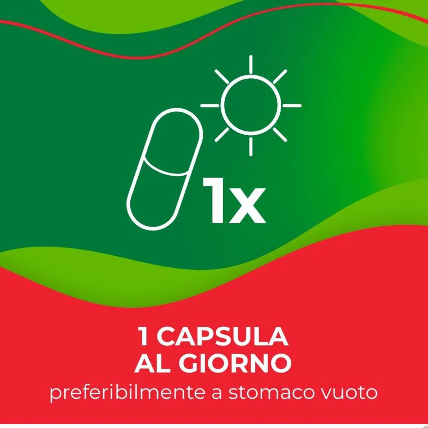 Enterolactis Plus Integratore Fermenti Lattici Vivi 15 Capsule