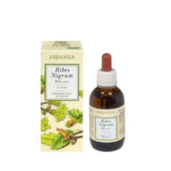 Erbamea Ribes Nigrum Gemme Gemmoderivato Bio Integratore Antinfiammatorio 50ml
