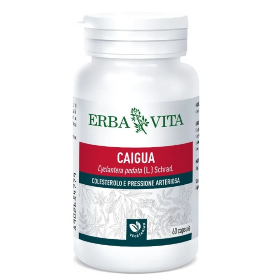 Erba Vita Caigua Integratore Per Colesterolo E Pressione Sanguigna 60 Capsule