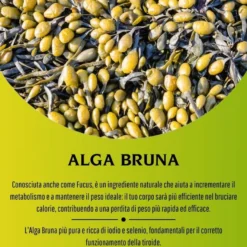 Erbex Alga Bruna 430mg 100 Compresse
