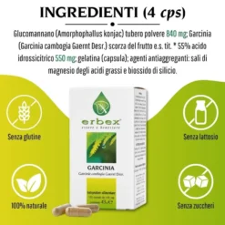 Erbex Garcinia 430mg 100 Capsule