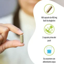Erbex Garcinia 430mg 100 Capsule
