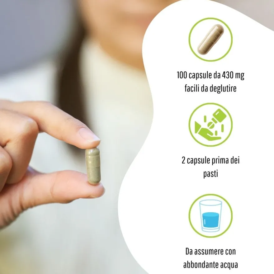 Erbex Garcinia 430mg 100 Capsule