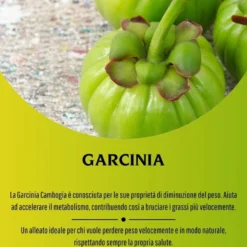 Erbex Garcinia 430mg 100 Capsule
