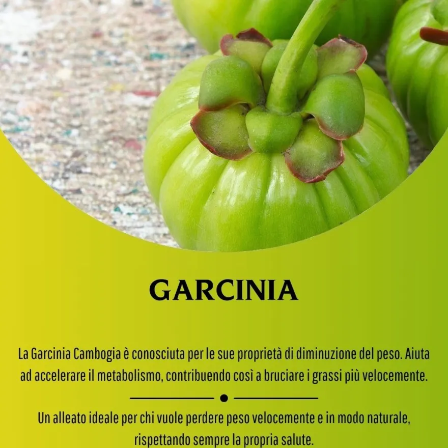 Erbex Garcinia 430mg 100 Capsule