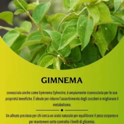 Erbex Gimnema 430mg 3 confezioni da 100 Capsule