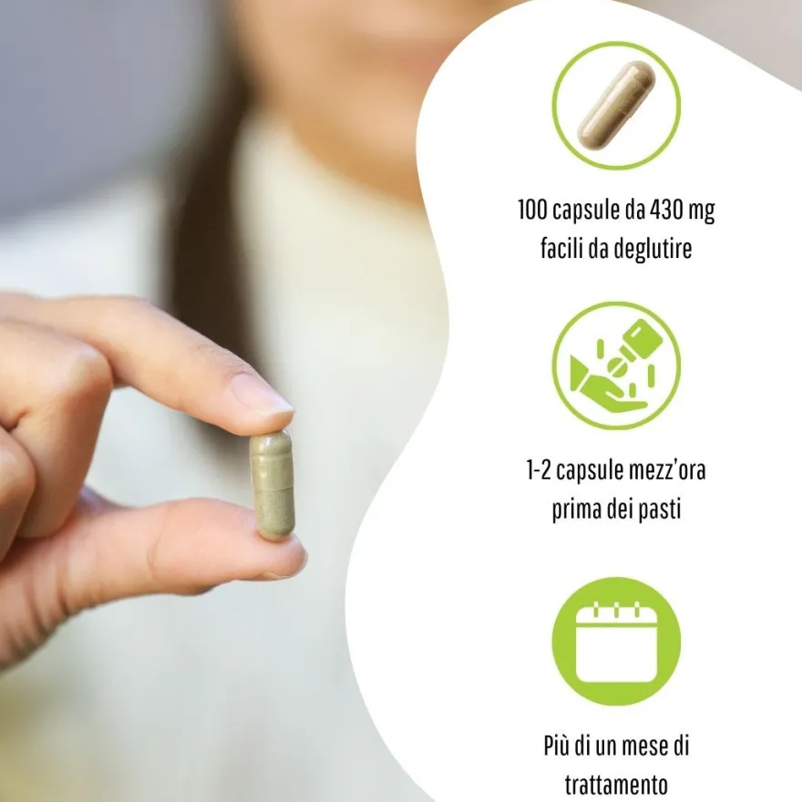 Erbex Gimnema 430mg 3 confezioni da 100 Capsule