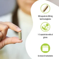 Erbex Ginkgo 380mg 100 Capsule