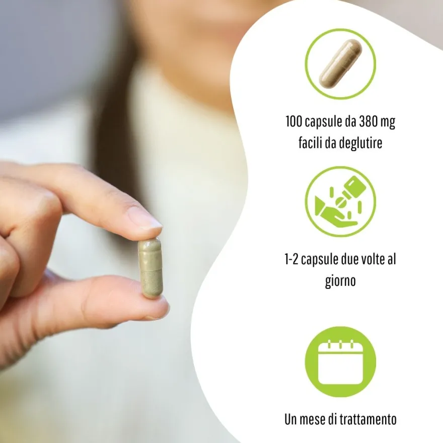 Erbex Ginkgo 380mg 100 Capsule