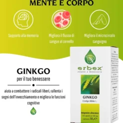 Erbex Ginkgo 380mg 100 Capsule