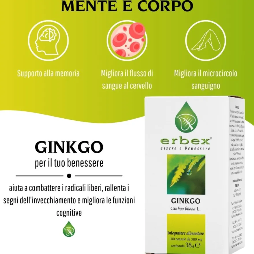 Erbex Ginkgo 380mg 100 Capsule