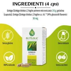 Erbex Ginkgo 380mg 100 Capsule