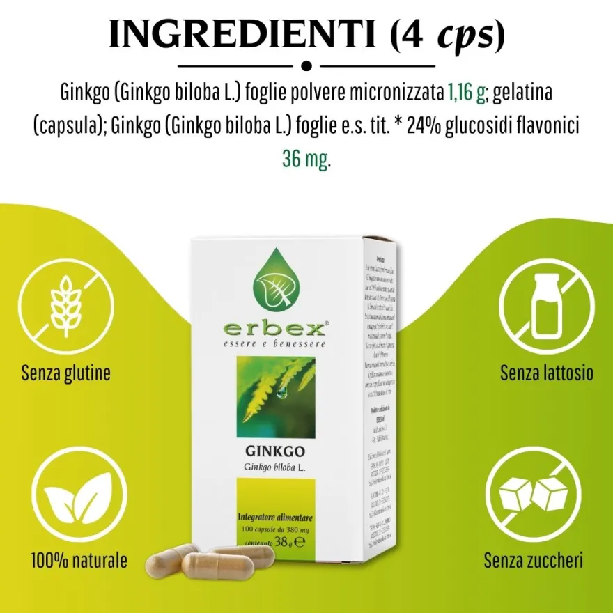 Erbex Ginkgo 380mg 100 Capsule
